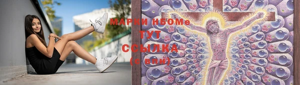 бошки Снежногорск