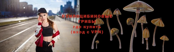 соль курить ск Аркадак