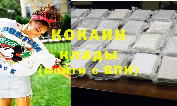 бошки Снежногорск