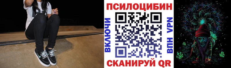 Псилоцибиновые грибы MAGIC MUSHROOMS  купить наркотики сайты  Ельня 